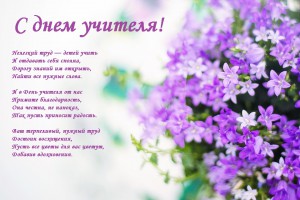 purple-flowers-2191635_960_720